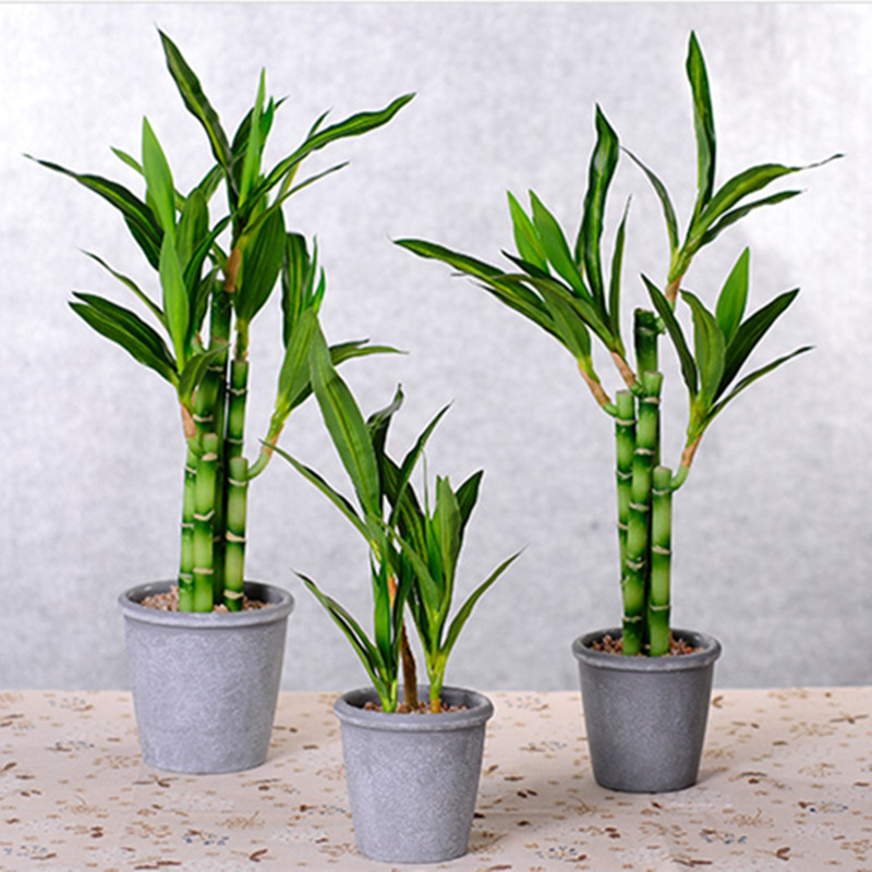 New 40cm rFtificial Lucky Bamb - огляд і ціна Desk Setup Plants