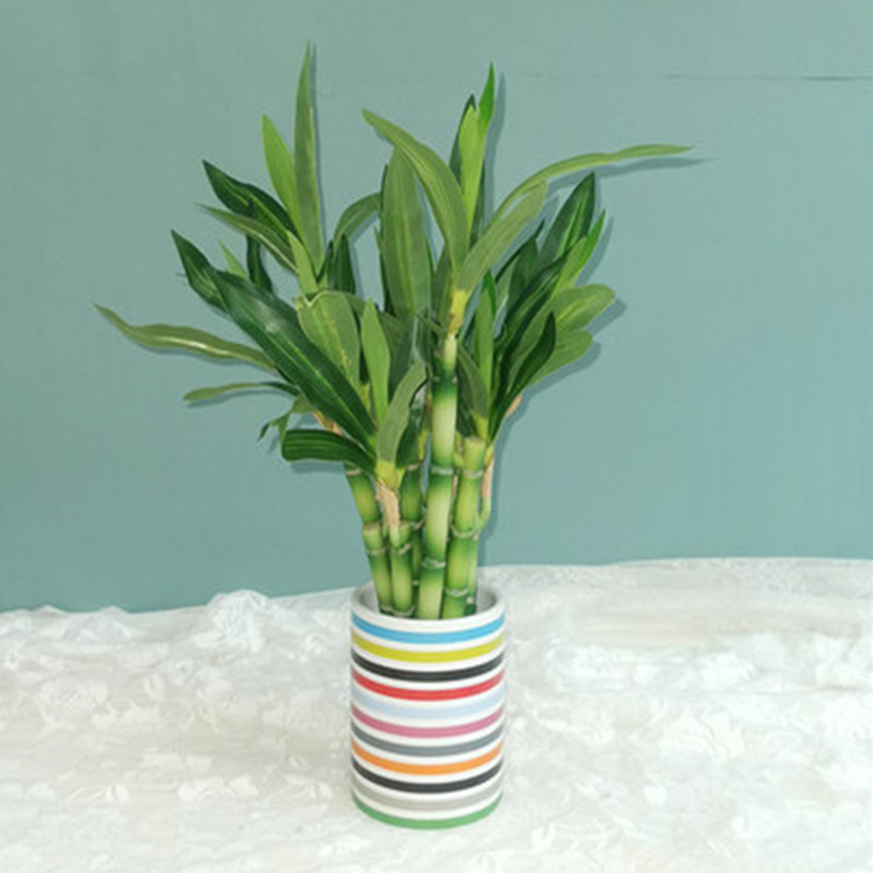 New 40cm rFtificial Lucky Bamb - огляд і ціна Desk Setup Plants
