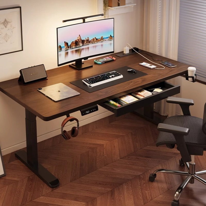 Modern Iron Dual Motor Electri - огляд і ціна Desk Setup Bedroom