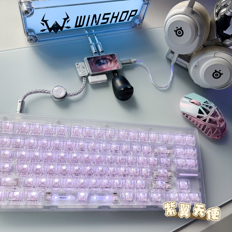 WINSHOP Esports HUB Dual-In 4- - огляд і ціна Desk Setup Usb Hub