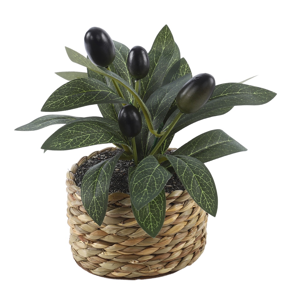 Artificial Plants Pocket Olive - огляд і ціна Desk Setup Plants